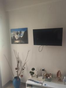 Televízia a/alebo spoločenská miestnosť v ubytovaní Sofis House