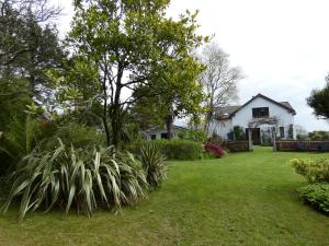Rodeen Country House في كاستيلتاونبير: منزل به ساحة بها عشب ونباتات