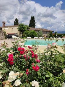 un giardino fiorito e una piscina di Casa Toscana Mugello a Barberino di Mugello