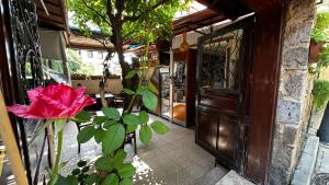 Zahrada ubytování Sultan Pension