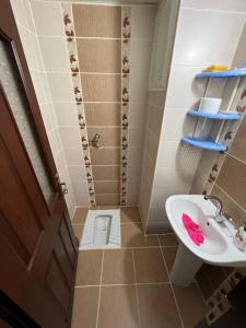 een kleine badkamer met een wastafel en een toilet bij Очень уютная квартира 2+1 in Antalya