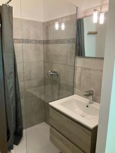 a bathroom with a shower and a sink at L'AUBERGE DE LA GOUTILLE in Capvern +47 photos