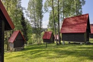 grupa domów z czerwonymi dachami na polu w obiekcie Chatky Skalní mlýn Adršpach w Adršpach