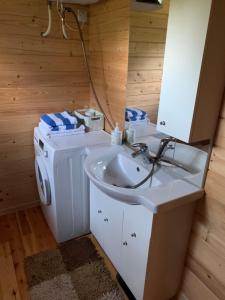 y baño con lavabo y lavadora. en Pociunai relax house, en Pociūnai