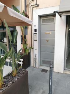 una puerta de un edificio con una planta delante en Il nido dell'artista, en Pietrasanta