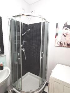 y baño con ducha y puerta de cristal. en Il nido dell'artista, en Pietrasanta