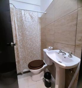 a bathroom with a toilet and a sink and a shower at Hotel Vanderloo in Posadas