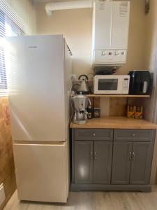 a kitchen with a white refrigerator and a microwave at la maison du soleil in Colazza