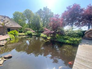 um lago num quintal com árvores e uma casa em B&B. Het Hunebed Rolde em Rolde