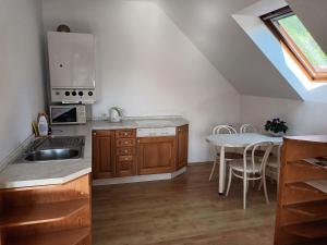 a kitchen with a sink and a table at Apartmán Barbora in Turnov
