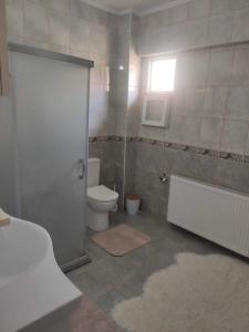ein Bad mit einem WC, einer Dusche und einem Waschbecken in der Unterkunft Ege Homes in Ula