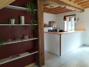 a kitchen with a counter and shelves with plants at La Maison près du ruisseau in Fenioux