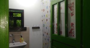 a bathroom with a sink and a green door at MARAMUREȘUL STRĂVECHI in Budeşti