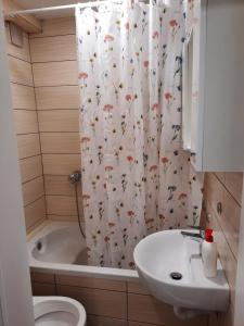 uma casa de banho com uma cortina de chuveiro, um WC e um lavatório. em Sarajevo Ilidza em Sarajevo