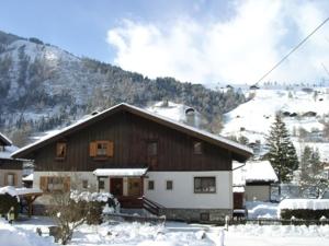 Ferienhaus Gerlinde II v zime