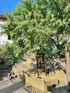 Foto Goris asuva majutusasutuse Guest House Savane galeriist