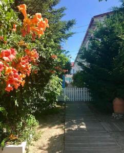Zahrada ubytování Casa Stavros