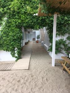 Zahrada ubytování Casa Stavros