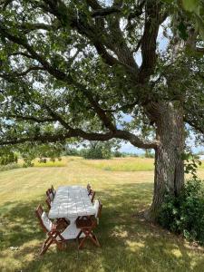 une table et des chaises sous un arbre dans un champ dans l'établissement The Prince Edward County Church, à Belleville