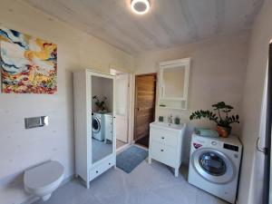 a bathroom with a washing machine and a sink at Jaanilille Tinytalo in Tahula