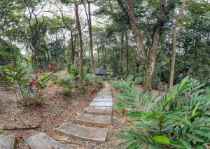 un camino en un jardín con algunas plantas y árboles en Hotel Wayra Club, en Acacías