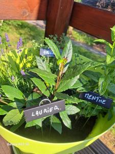 Zahrada ubytování L'Ard'Heure D'Avance chalet familiale