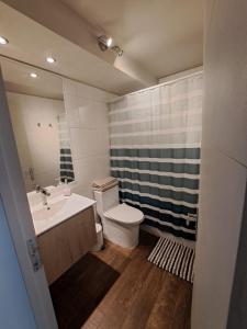 a bathroom with a toilet and a sink and a mirror at Rocky House - Hostal Boutique Providencia in Santiago