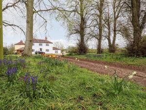 a garden with purple flowers and a white house at Pat's Cottage in Market Rasen