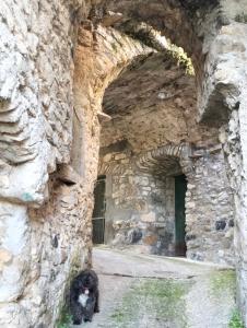 Domáce zviera alebo zvieratá hostí v ubytovaní la casa nel bosco