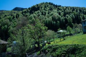 vista su una montagna con una casa e alberi di Oda a Khulo