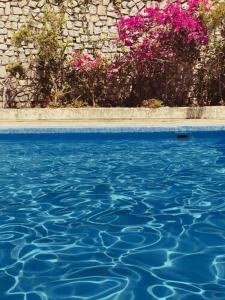 Bazén v ubytování Sun Beach nebo v jeho okolí