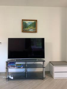 TV a/nebo společenská místnost v ubytování Лісова хатина