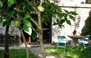 Ogród w obiekcie Casa del Conde - Ajanedo