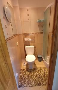 a small bathroom with a toilet and a shower at Ozolu gatve 2- no Cēsīm 7 km in Jāņmuiža