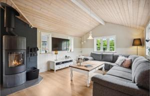 ArrildにあるBeautiful Home In Toftlund With Wifiのリビングルーム(ソファ、暖炉付)