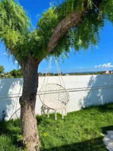 a swing hanging from a tree in the grass at Villa Santo Stefano in Monopoli