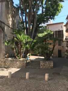 a person sitting on the stairs next to a tree at ANTIBES très belle situation ! in Antibes