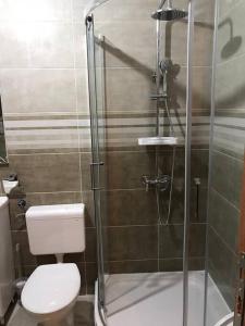 a bathroom with a toilet and a glass shower at New Comfortable Apartment in Bijela - Appart numéro 2 in Bijela