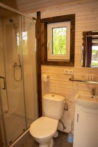 a bathroom with a toilet and a shower and a sink at Brīvdienu māja Rozes in Šķēde +18 photos