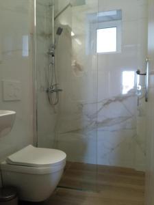 a bathroom with a toilet and a glass shower at Angelouda's House - Traditional Stone 2 BR Home in Karystos Center in Karistos +20 photos