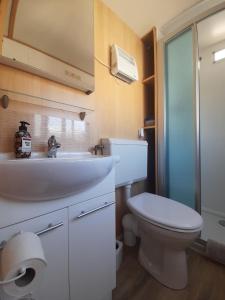 een badkamer met een wit toilet en een wastafel bij Holiday in Holland - no workmen only holiday makers in Vierhouten