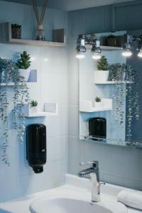 克萊蒙費朗的住宿－Rue Bien Assis avec jardin terrasse，浴室配有水槽,墙上挂着一些植物
