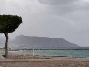 Príroda v okolí vily