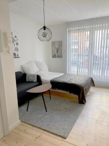 ein Wohnzimmer mit einem Bett und einer Couch in der Unterkunft Great Modern Studio in Aalborg