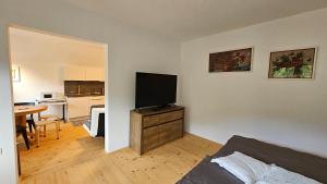een woonkamer met een flatscreen-tv op een dressoir bij Apartma Sava-Stol in Jesenice