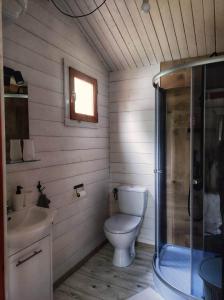 ein Bad mit einem WC, einem Waschbecken und einer Dusche in der Unterkunft Bojkolandia in Ustrzyki Dolne