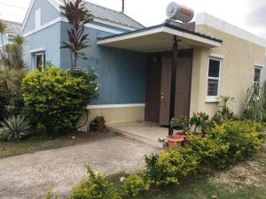 a blue house with a brown door and some bushes at Cozy and Secure Jacaranda Home in Spanish Town