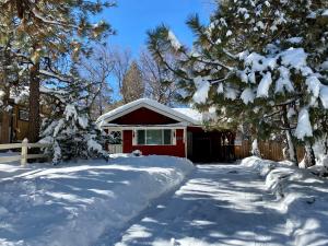 a red house in the snow with trees at Cozy Red Cabin - Nestled in a cozy neighborhood, short walk to Sugarloaf Park! Hot Tub! in Sugarloaf