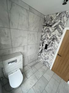 a bathroom with a white toilet and a marble wall at Beautiful Central London Apartment in London