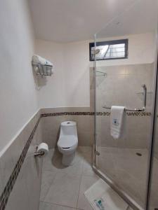 Un baño con inodoro y ducha de cristal. en Villas Cozumel #9, en Cozumel 10 fotos más